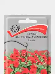 Семена Петуния "Симфония красная ампельная" 0,01 г, Поиск
