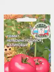 Семена Томат Непасынкующийся малиновый F1 0,1 г (СеДеК)