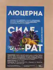 Сидерат "Люцерна посевная", 250 г, Семена Алтая