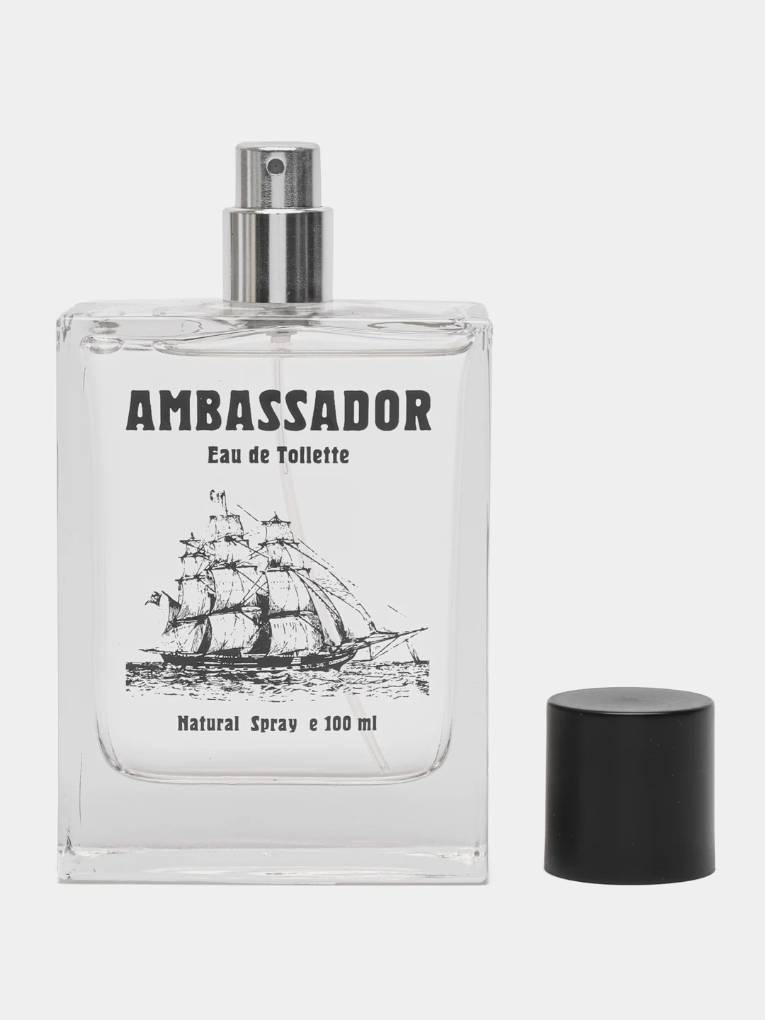 Туалетная вода мужская Ambassador, 100 мл