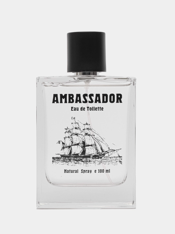 Туалетная вода мужская Ambassador, 100 мл