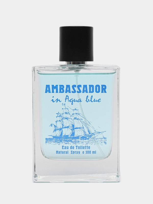 Туалетная вода мужская Ambassador In Aqua Blue, 100 мл