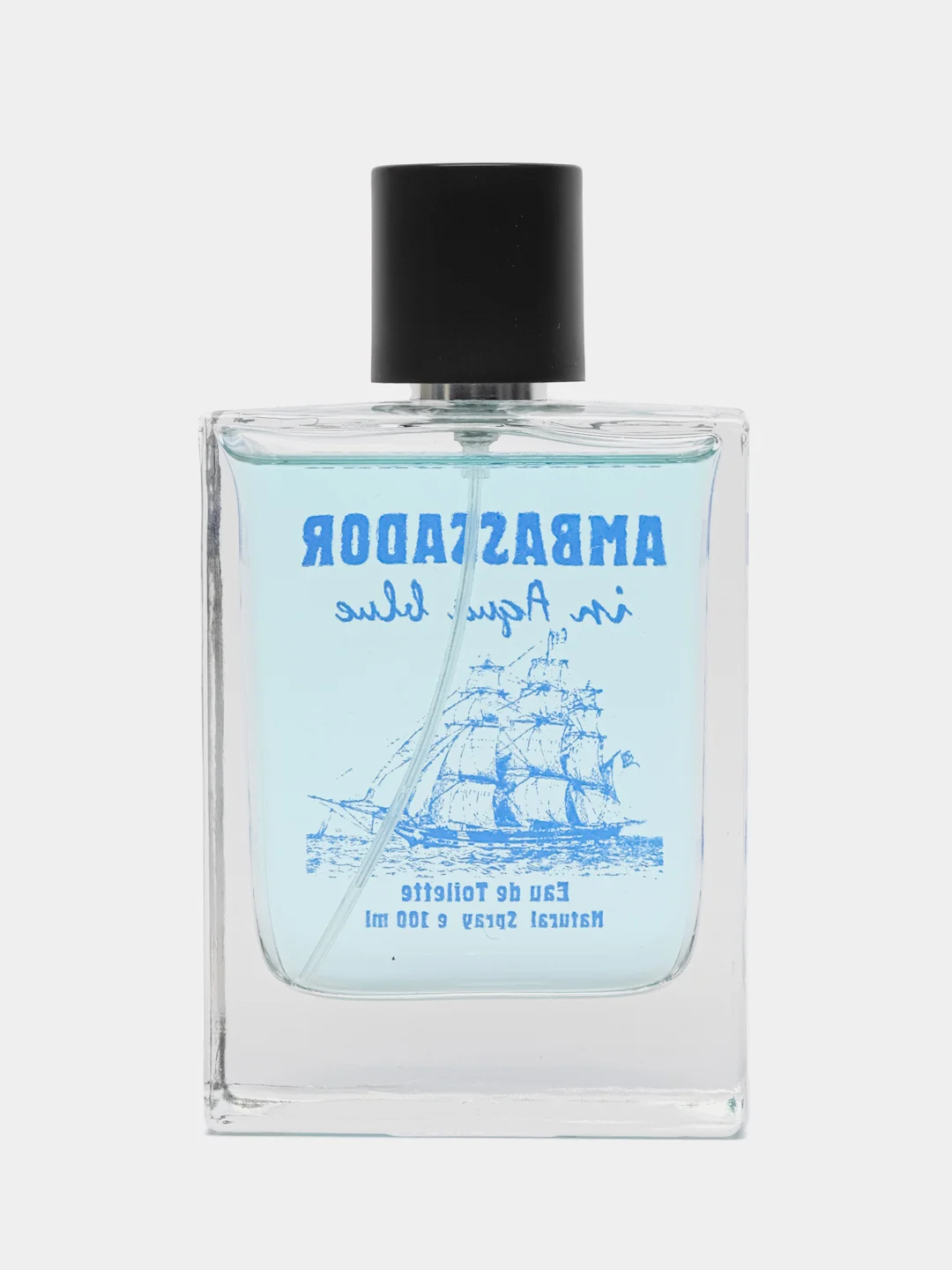 Туалетная вода мужская Ambassador In Aqua Blue, 100 мл