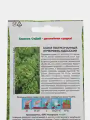 Салат полукочанный Кучерявец Одесский, 0,5 г, СеДеК