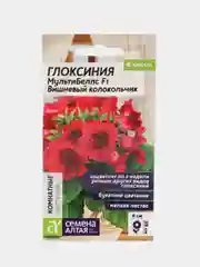 Глоксиния "МультиБеллс. Вишневый колокольчик F1", 5 шт, обильное цветение Семена Алтая