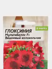 Глоксиния "МультиБеллс. Вишневый колокольчик F1", 5 шт, обильное цветение Семена Алтая
