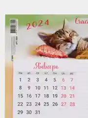 Аметистовый календарь с блоком для записей, на магните, "Дракон 2024 г", 200 х 150 мм