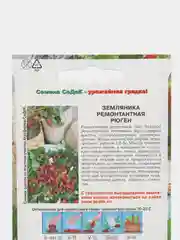 Земляника ремонтантная Рюген, 0,04 г, СеДеК