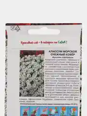 Семена Алиссум морской "Снежный ковер" 0,1 г (СеДеК)