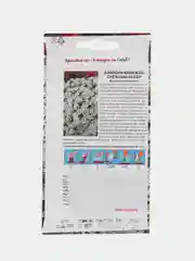 Семена Алиссум морской "Снежный ковер" 0,1 г (СеДеК)