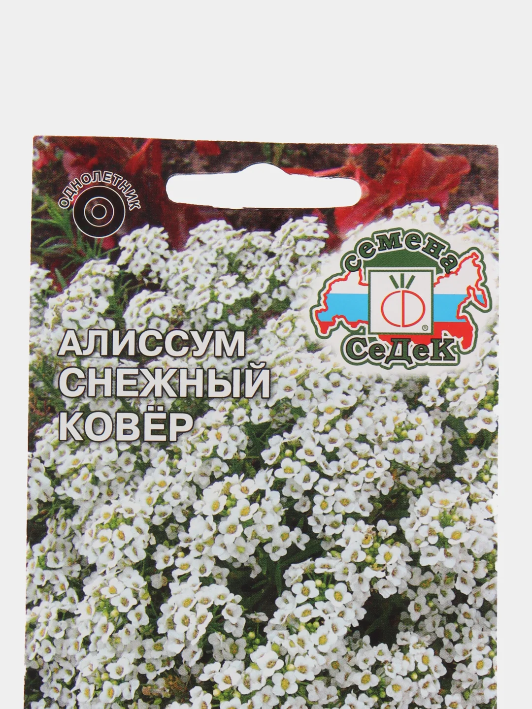 Семена Алиссум морской "Снежный ковер" 0,1 г (СеДеК)
