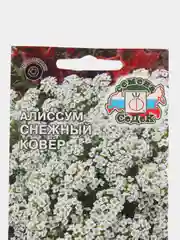 Семена Алиссум морской "Снежный ковер" 0,1 г (СеДеК)