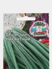 Лук душистый "Пикантный", 0,5 г, СеДеК