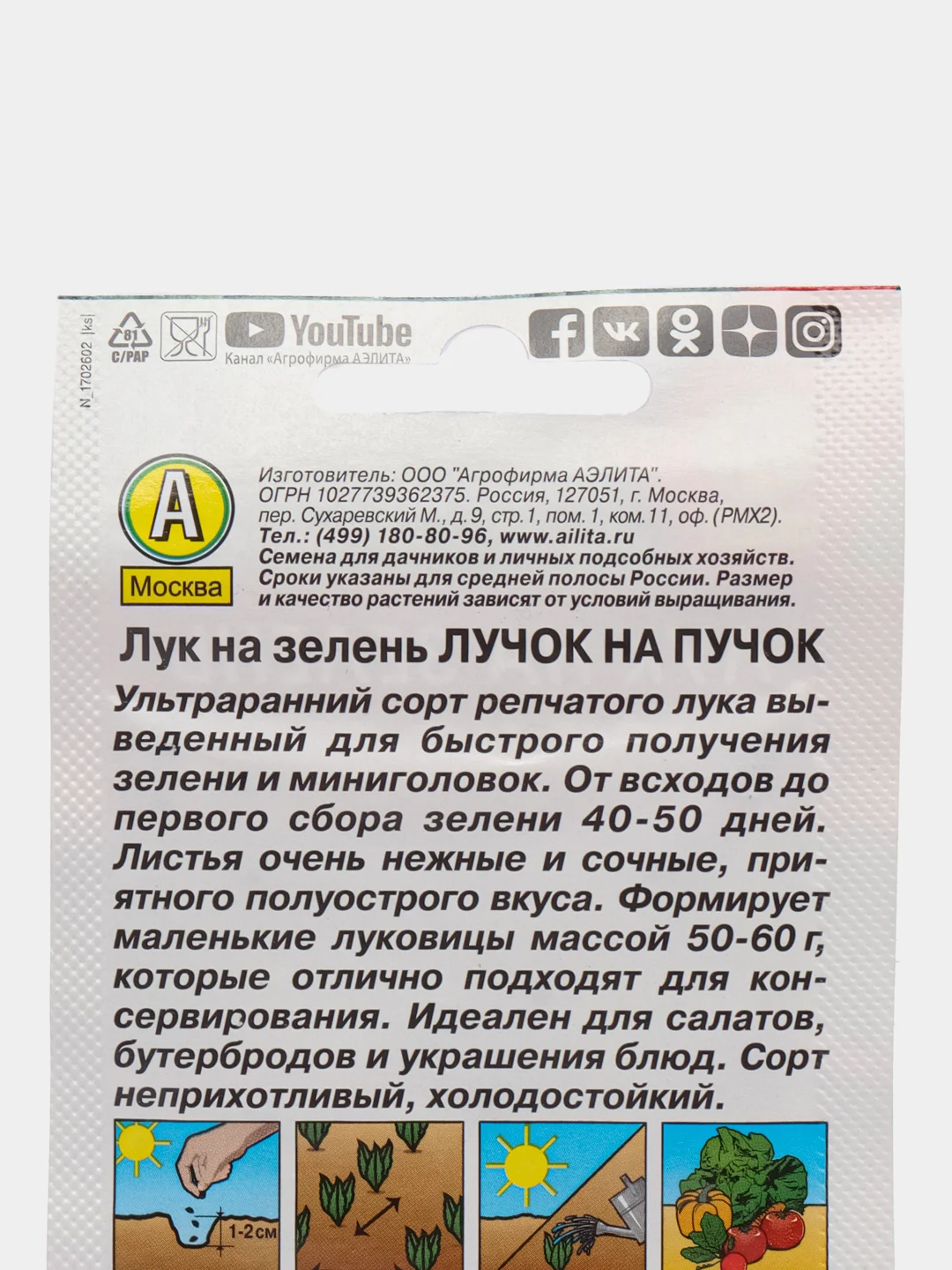 Лук на зелень "Лучок на пучок", 0,5 г, Аэлита