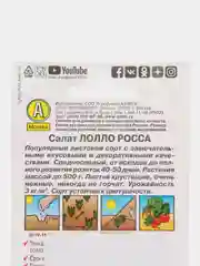 Салат листовой Лолла Росса, 0,5 г, Аэлита, серия Лидер