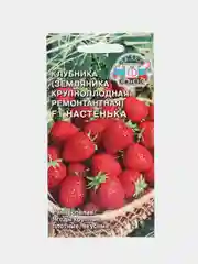 Земляника ремонтантная, крупноплодная Настенька F1, 15 шт. клубника, СеДеК