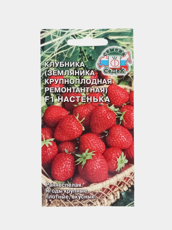 Земляника ремонтантная, крупноплодная Настенька F1, 15 шт. клубника, СеДеК