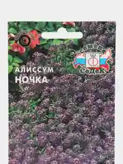 Семена Алиссум морской "Ночка" 0,1 г (СеДеК)