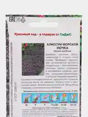 Семена Алиссум морской "Ночка" 0,1 г (СеДеК)