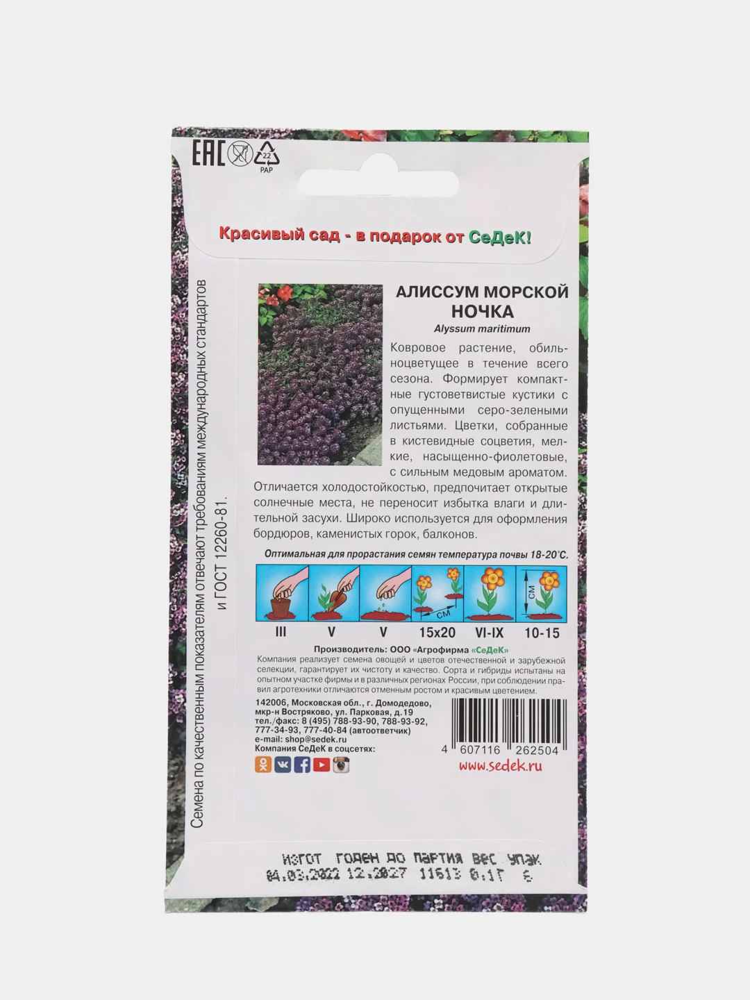 Семена Алиссум морской "Ночка" 0,1 г (СеДеК)