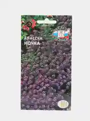 Семена Алиссум морской "Ночка" 0,1 г (СеДеК)
