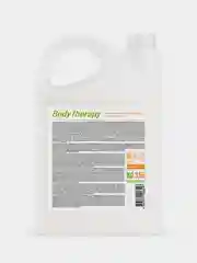 Гель для душа SYNERGETIC BODY THERAPY Спелая дыня, 3,5 л