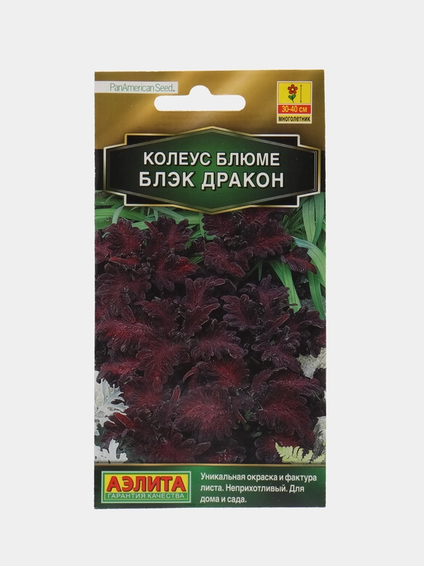 Колеус блюме "Блэк дракон" 10 шт (Аэлита)