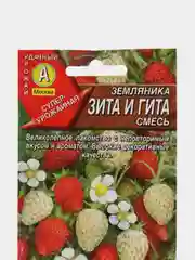 Земляника ремонтантная "Зита и Гита", 0,04 г, Аэлита