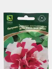 Петуния "Дуо Роуз энд вайт", махровая, многоцветковая, 10 шт, Поиск