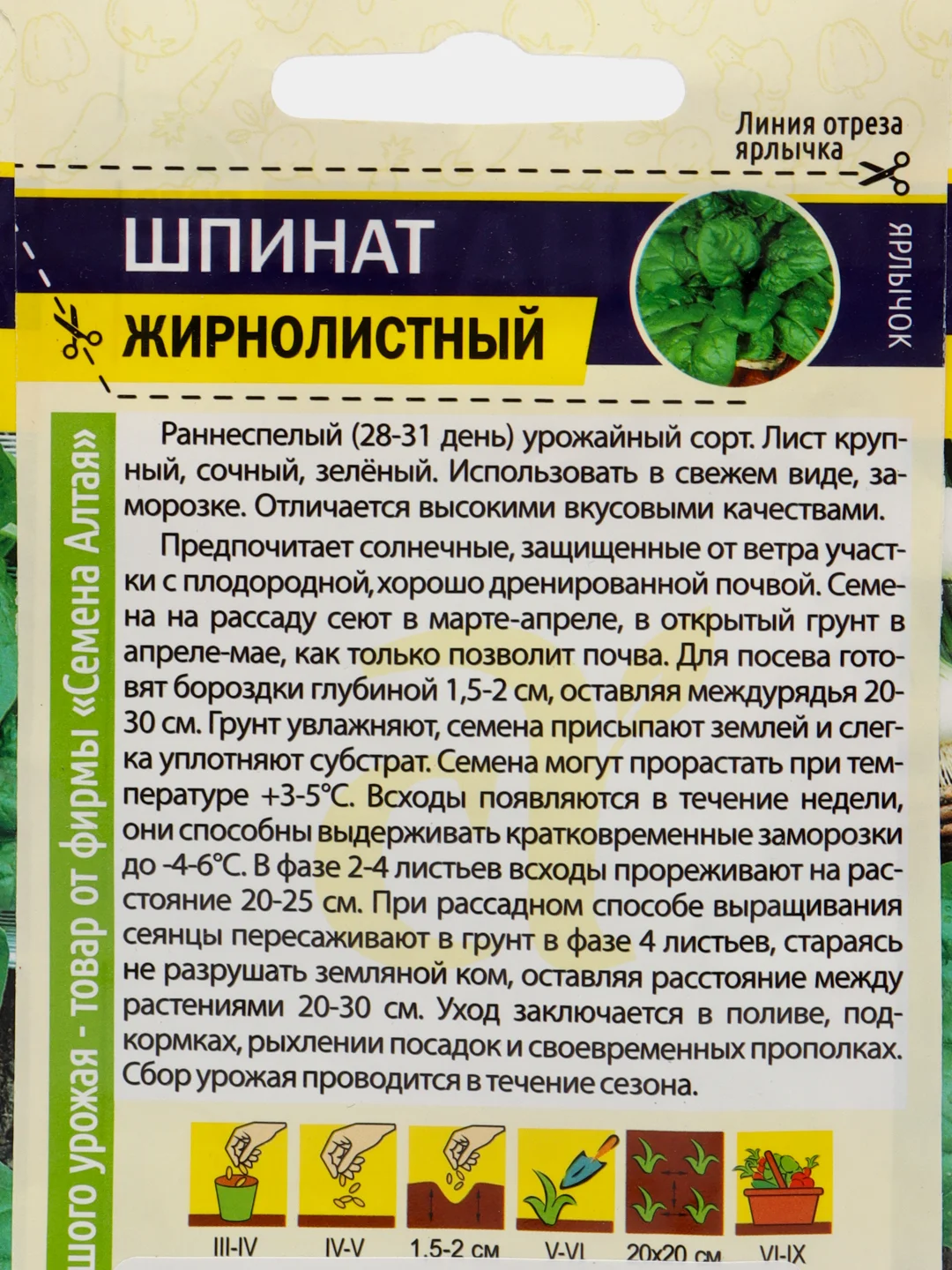 Шпинат "Жирнолистный" 1 г, Семена Алтая