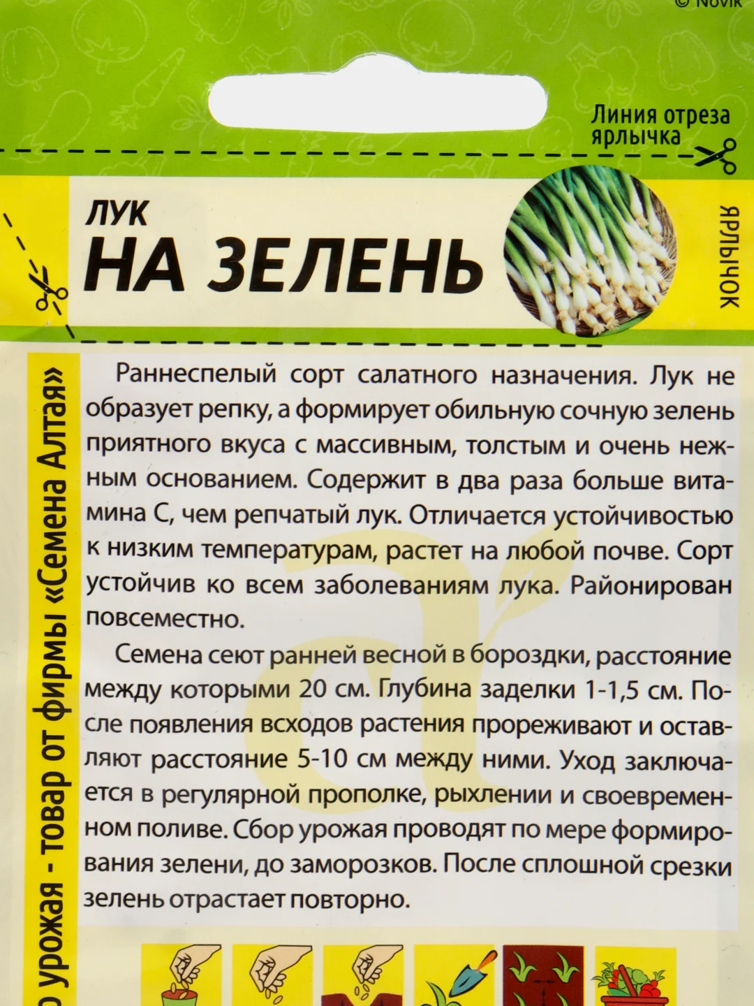 Лук "На зелень", 0,5 г, Семена Алтая