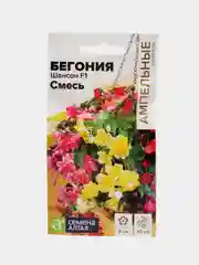 Бегония ампельная клубневая Шансон смесь, 5 шт, Семена Алтая