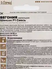 Бегония ампельная клубневая Шансон смесь, 5 шт, Семена Алтая