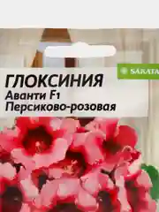 Глоксиния Аванти Персиково-розовая F1, 8 шт, Семена Алтая