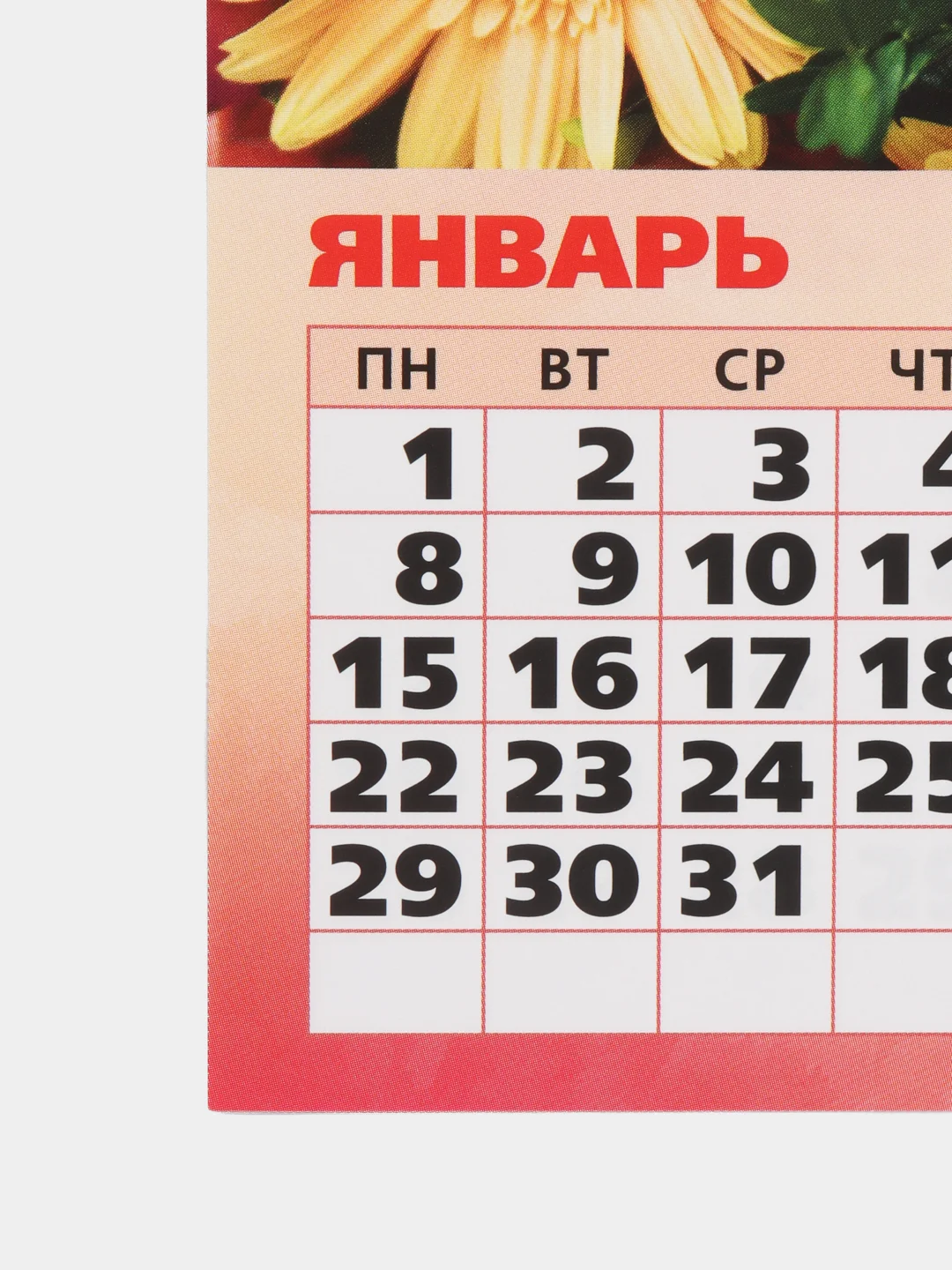 Горчичный календарь отрывной на магните, на каждый месяц, 2024 г, 96 х 135 мм