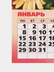 Горчичный календарь отрывной на магните, на каждый месяц, 2024 г, 96 х 135 мм