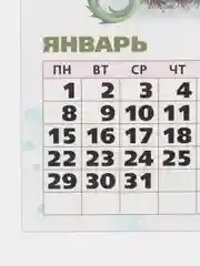 Золотой календарь отрывной на магните, на каждый месяц, 2024 г, 96 х 135 мм
