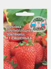 Клубника Сашенька F1, 15 шт, СеДеК