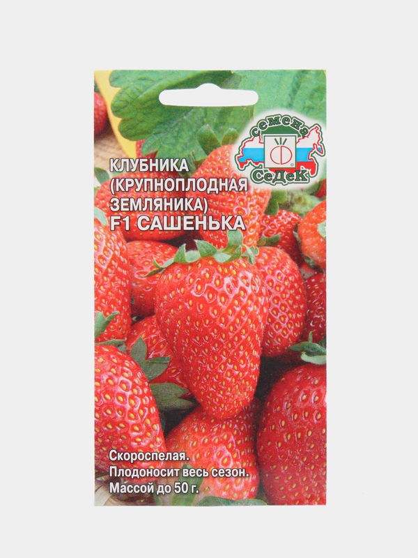 Клубника Сашенька F1, 15 шт, СеДеК