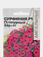 Сурфиния "Пурпурный Бархат F1", 5 шт, Семена Алтая