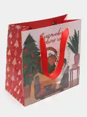 Конфетный пакет подарочный новогодний, 22 x 22 х 11