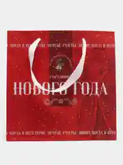 Красный пакет подарочный новогодний, 22 x 22 х 11