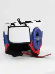 Шлем боксерский GAZ