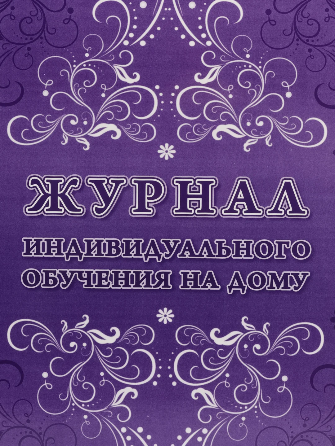 Журнал индивидуального обучения на дому
