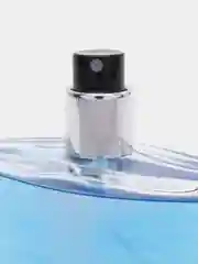 Туалетная вода Musk, для него, 75 мл
