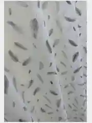 Тюль под лен с рисунком "Перо" 300x270