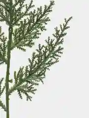 Зеленый ветки ели искусственные