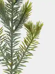 Лайм ветки ели искусственные