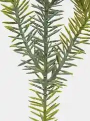 Лайм ветки ели искусственные