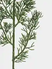 Лесной зеленый ветки ели искусственные
